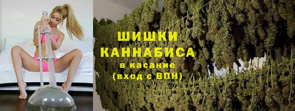 тгк Инта